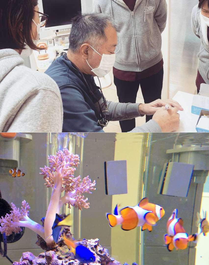 説明をする院長と院内の水槽